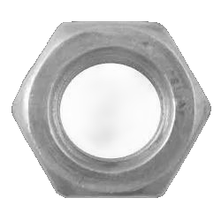 Hexagon Nut Api D27X2