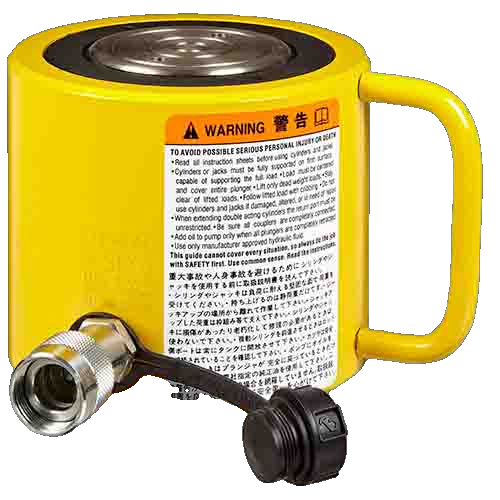 RCS1002