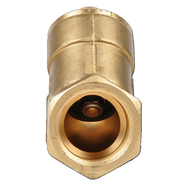 Angle Seat Check Valve Rp1" Brass 'Rsv 100 Ss Fkm'