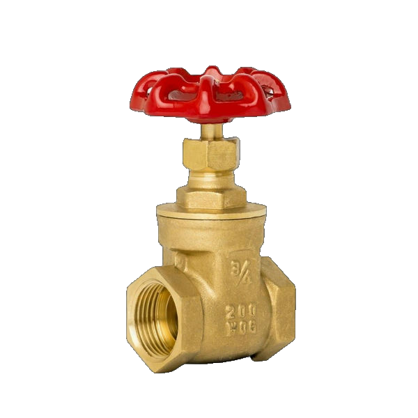 Check Valve G2" Brass 'Rsv Eu 200 Ms'