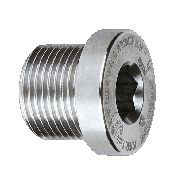 Closing Plug Blind Plug V4A G1" 40Bar 'Vst 100 Es'