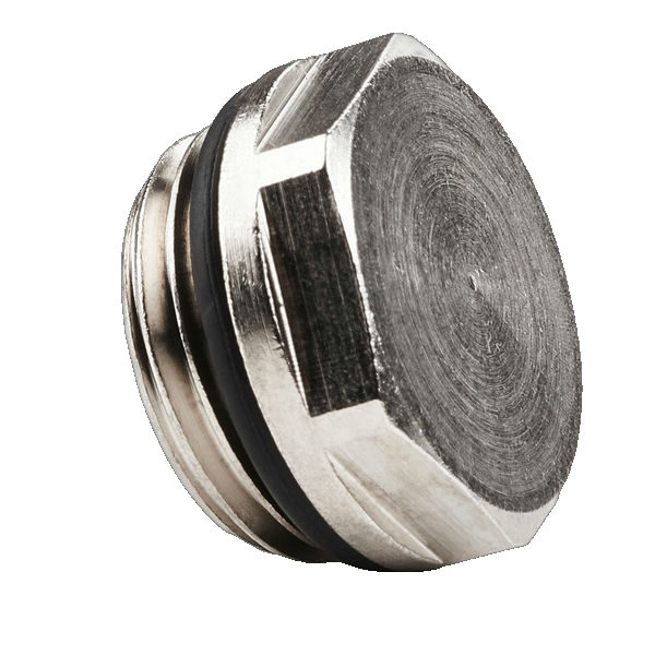 Closing Cap Blind Plug Va 1.4408 Rp 1/8" 16 Bar 'Fsk 18 Es'