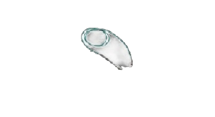 TR1M-A-2-A-5-C-I 060X000X00150XX